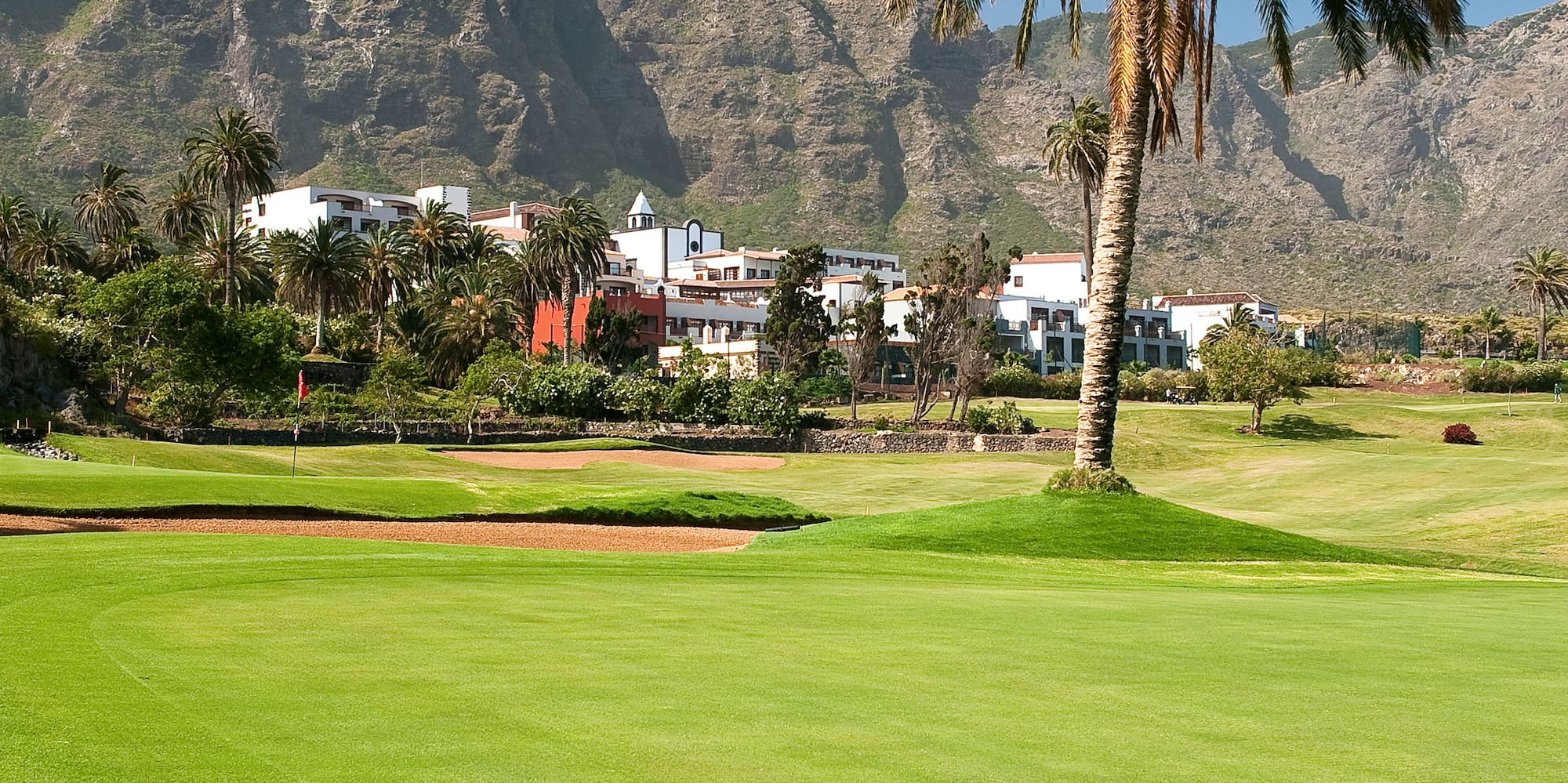 a golf course with a palm tree and mountains in the background