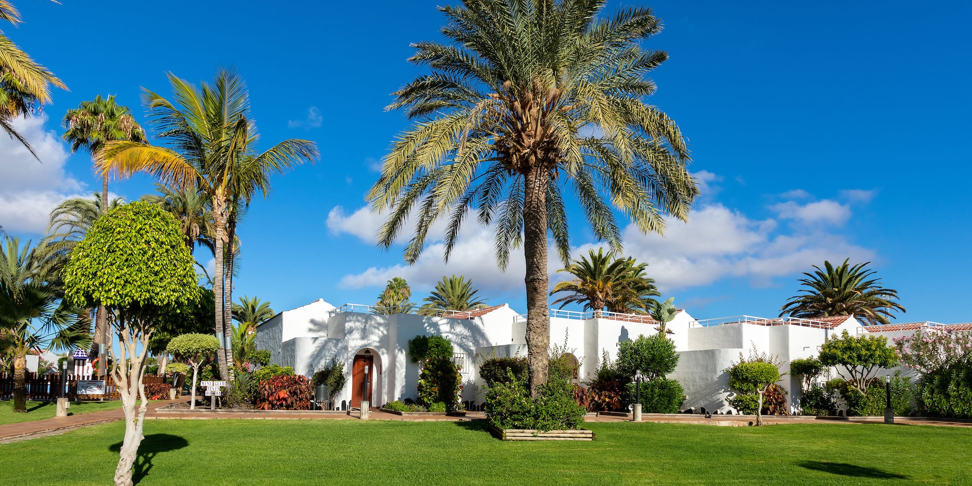 a palm trees and a building