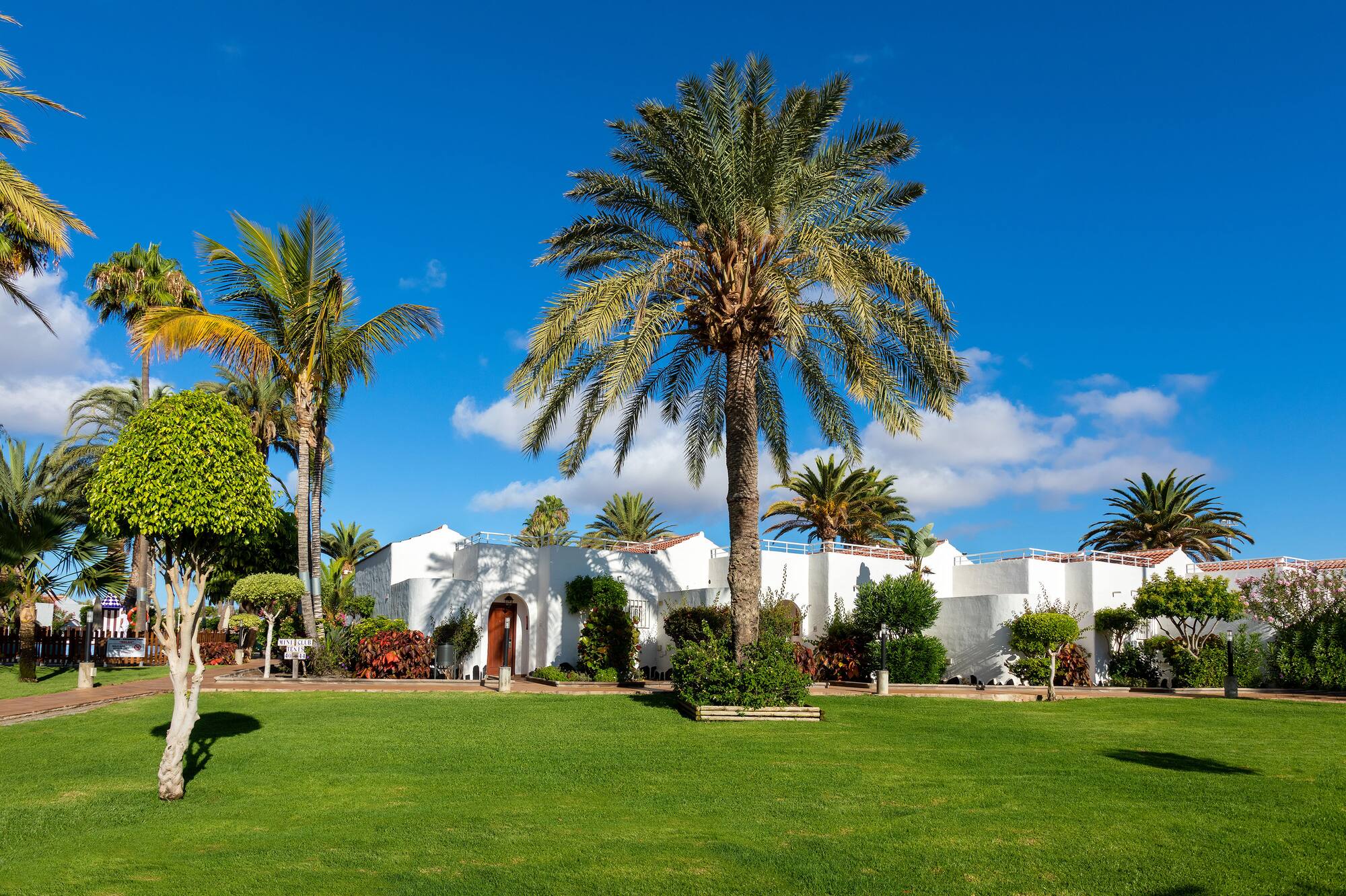 Sunny tropical resort with white buildings, palm trees, and green lawn.