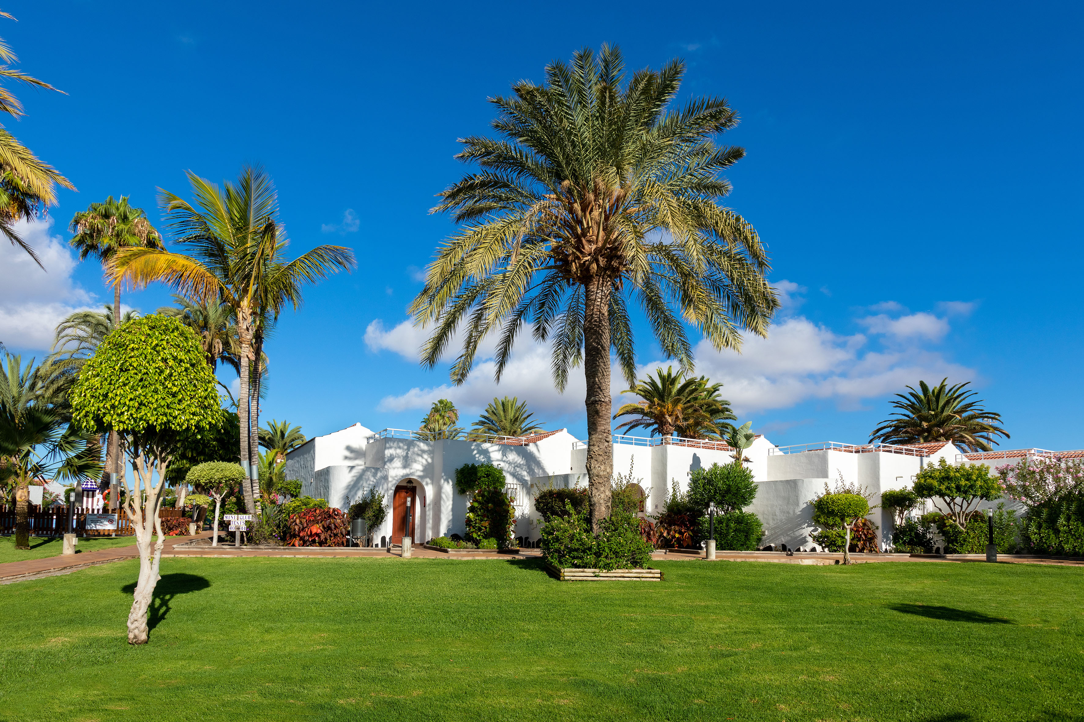 Sunny tropical resort with white buildings, palm trees, and green lawn.