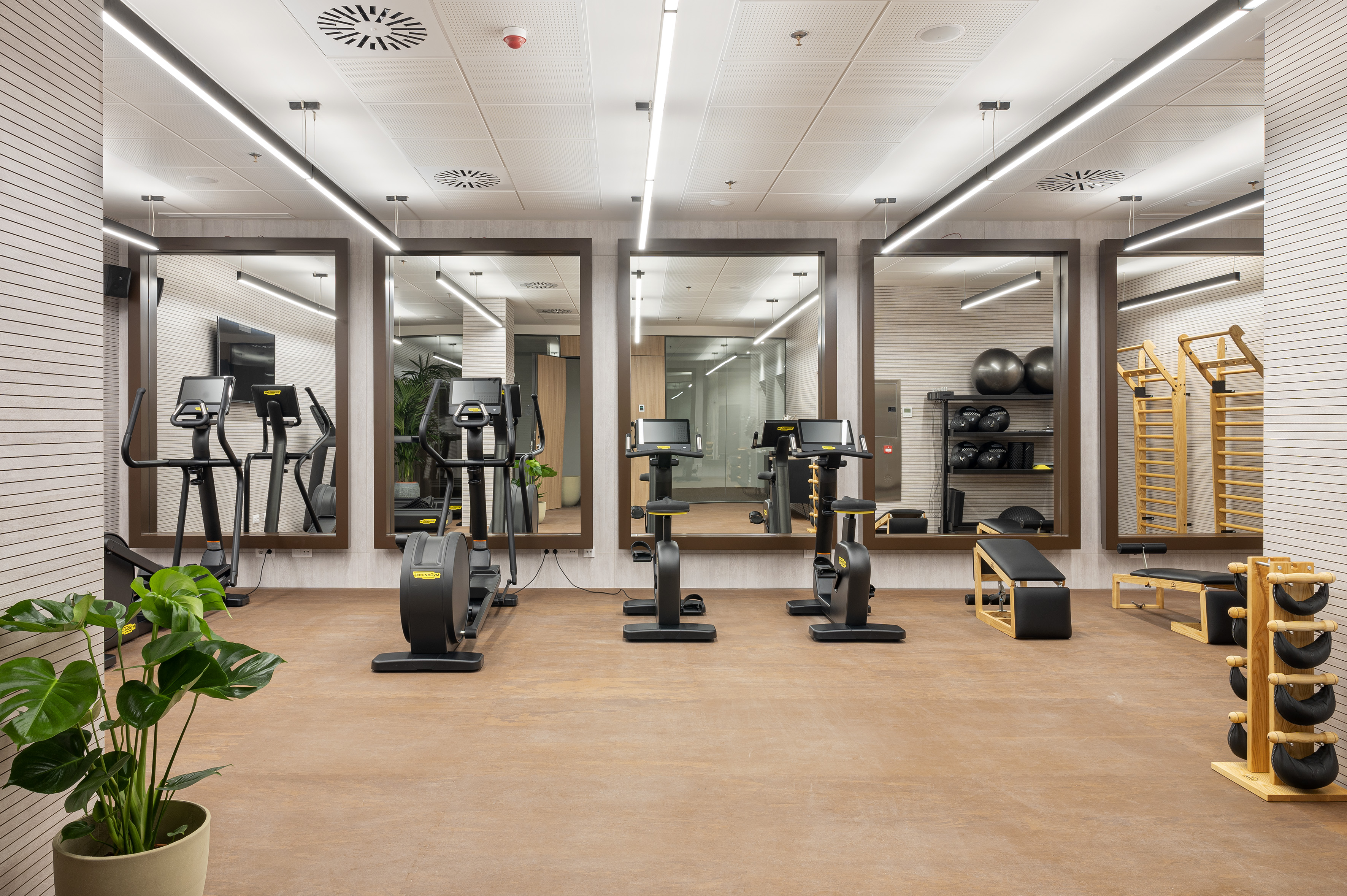 Modern gym with various cardio machines, workout equipment, and large mirrors.