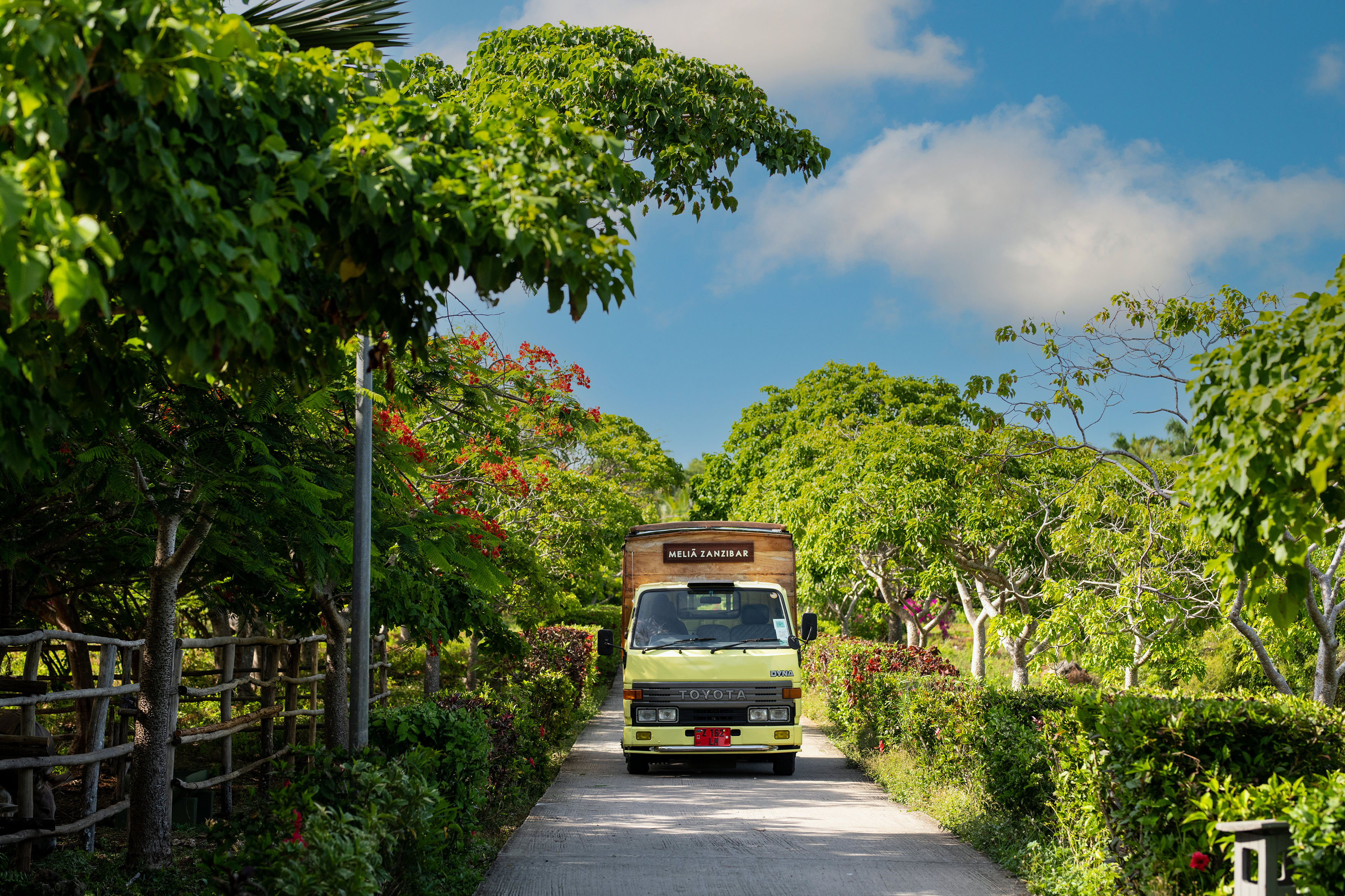 Yellow Toyota Dyna truck for Meliá Zanzibar on a lush tropical road.