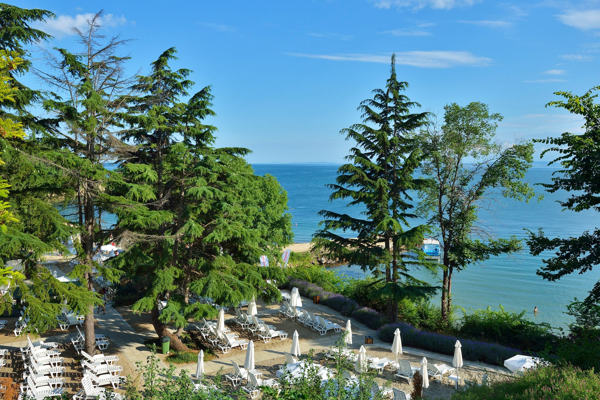 a beach with chairs and umbrellas and trees