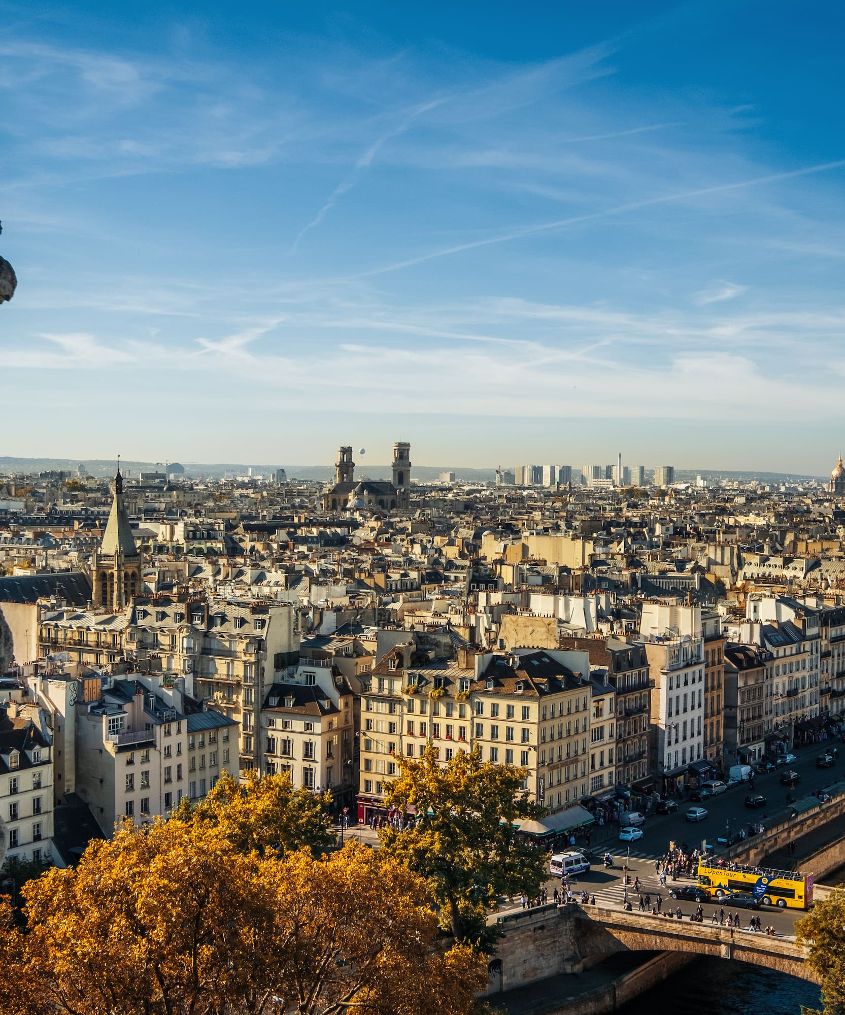 a statue of a gargoyle on a city skyline