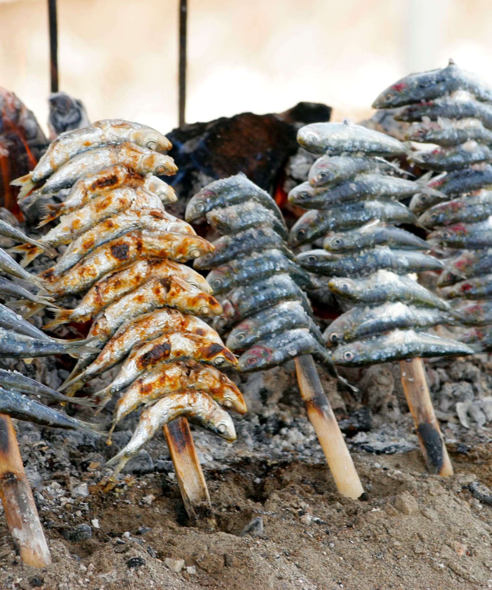 a group of fish on sticks