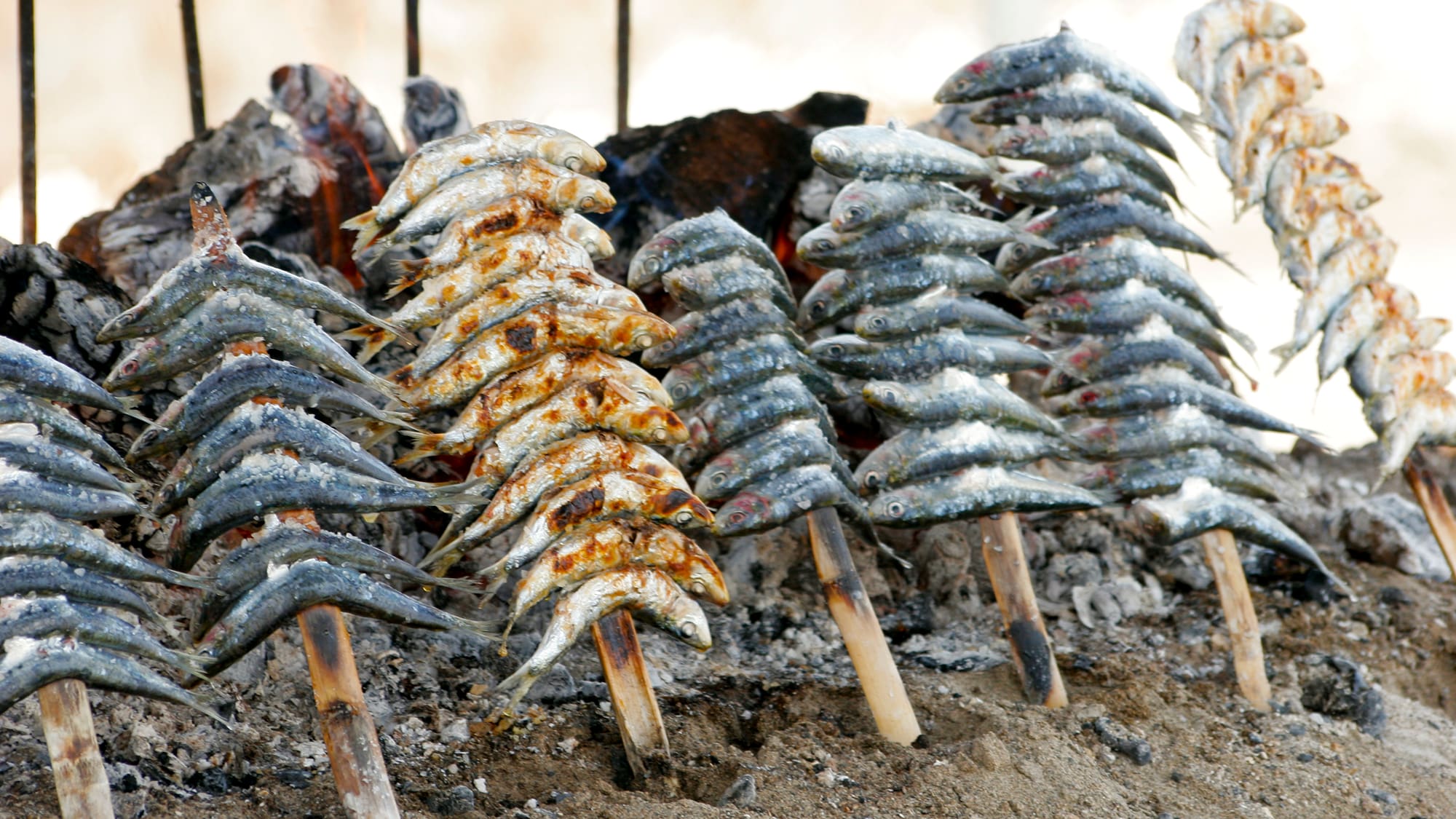 a group of fish on sticks