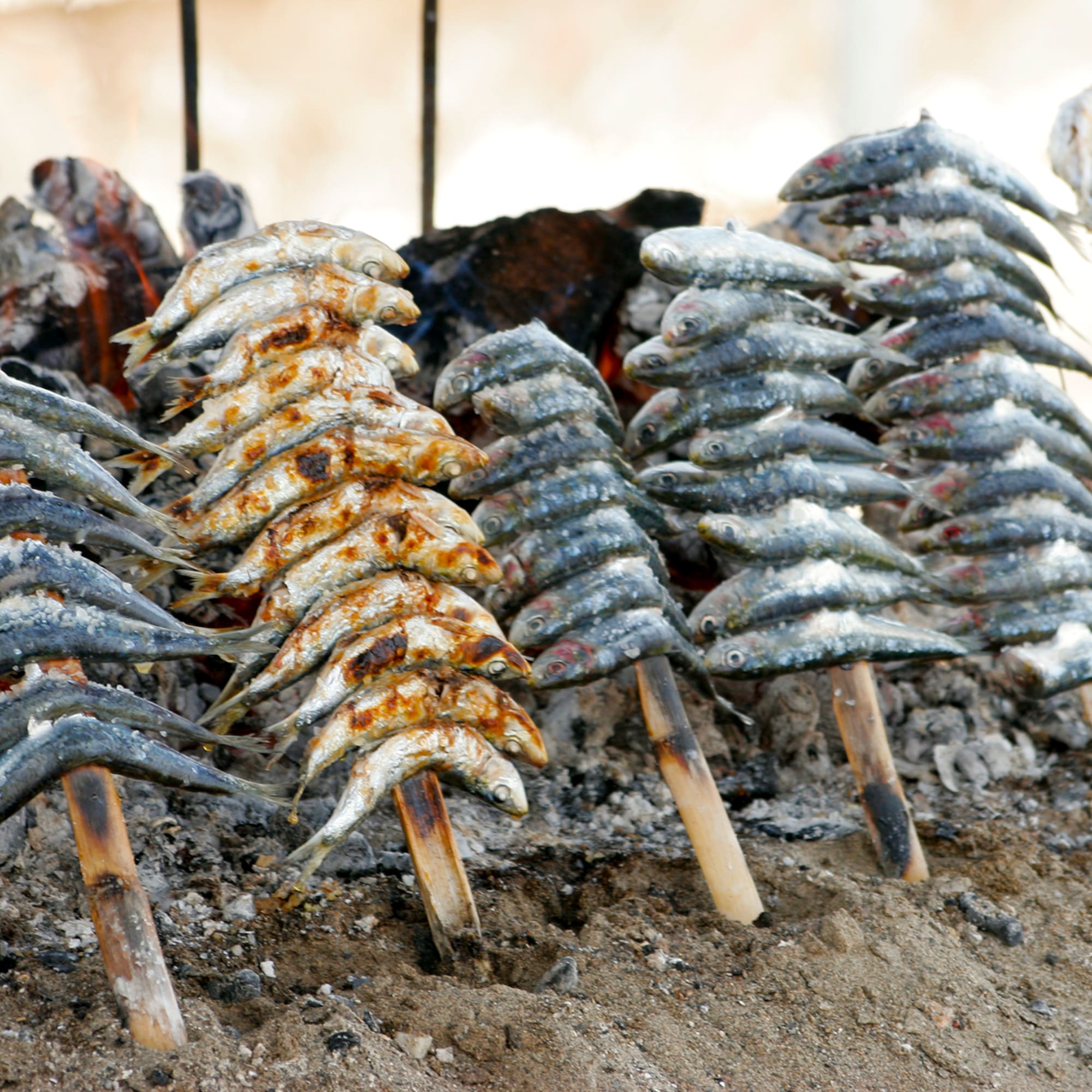 a group of fish on sticks