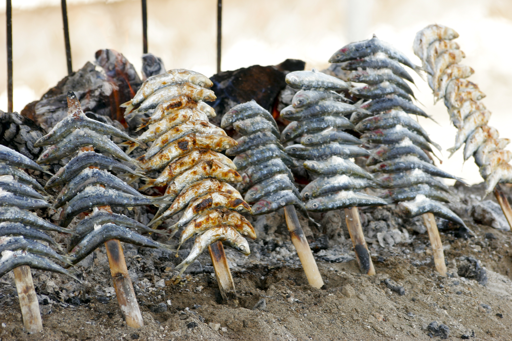 a group of fish on sticks