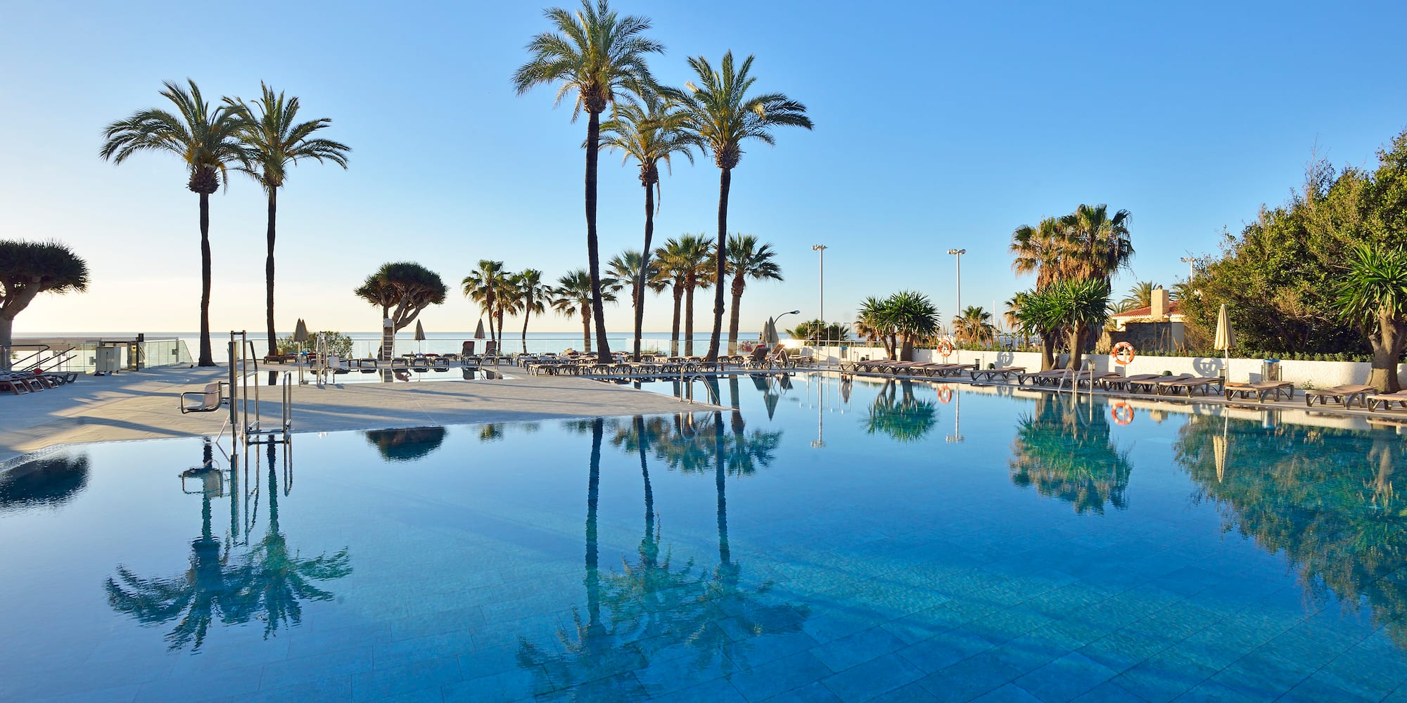 a pool with palm trees and a beach