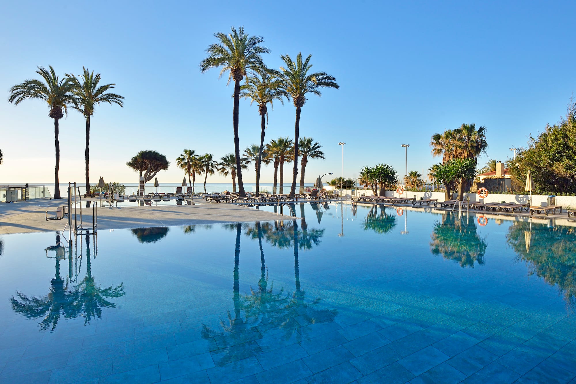 a pool with palm trees and a beach