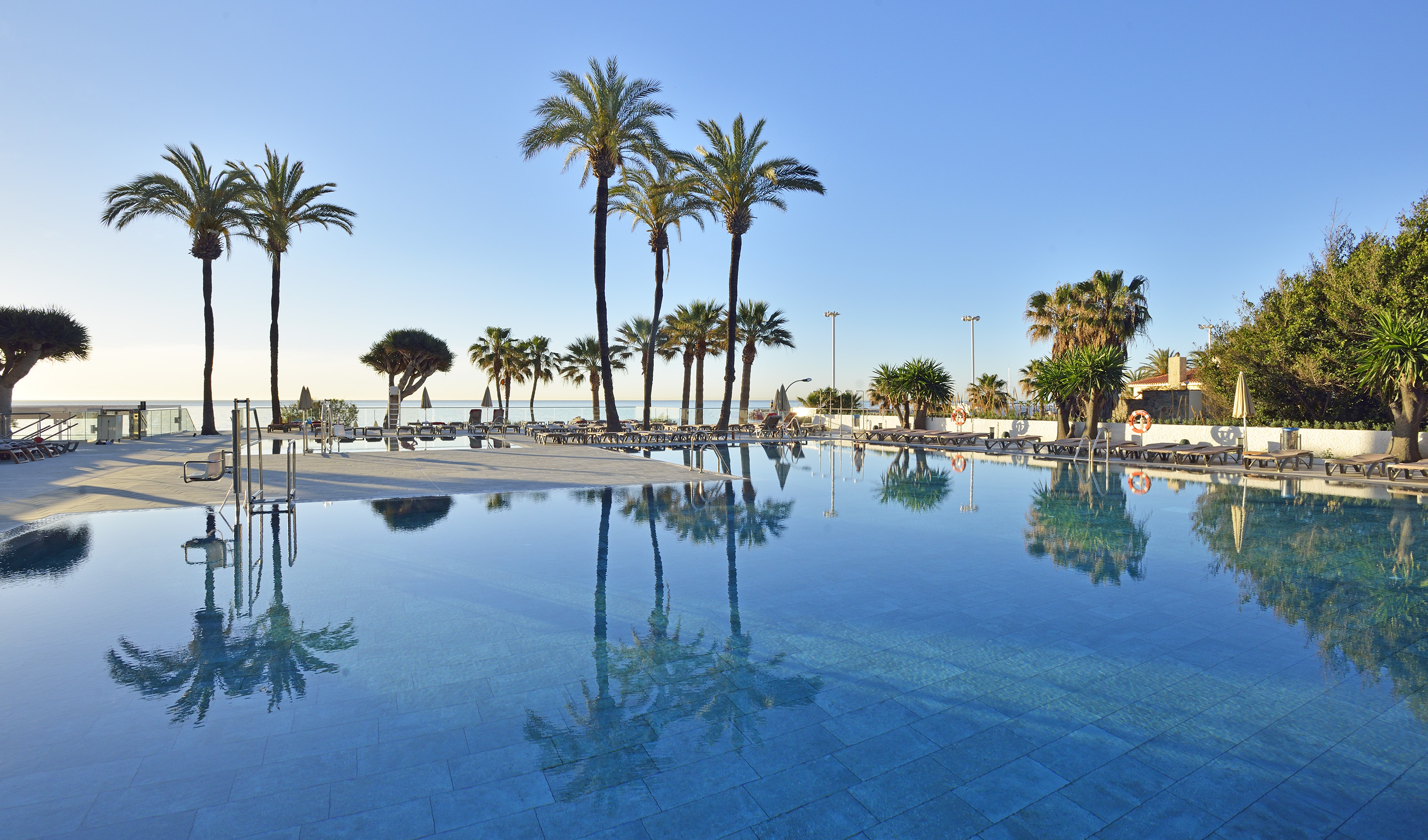 a pool with palm trees and a beach
