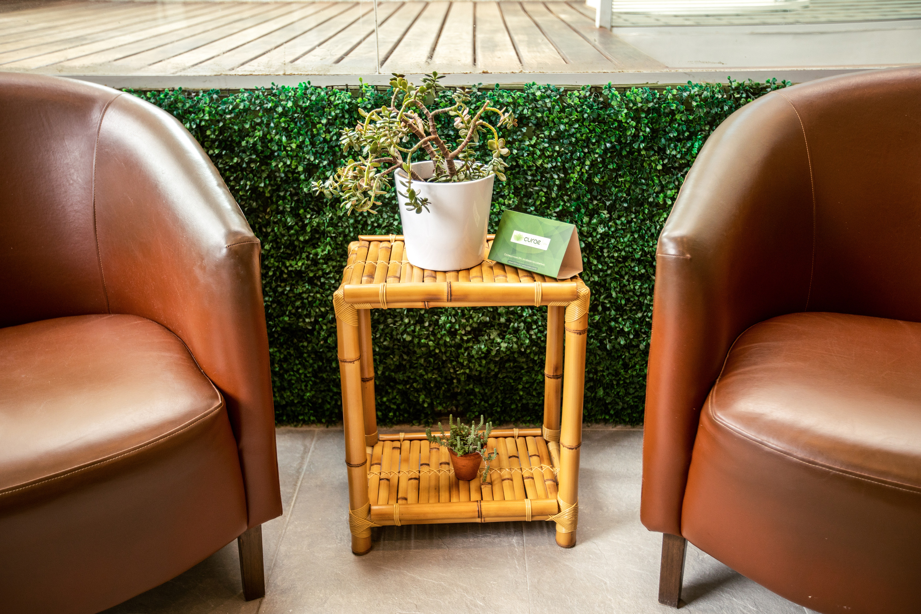 Brown leather armchairs, bamboo table with potted plants, and green wall.