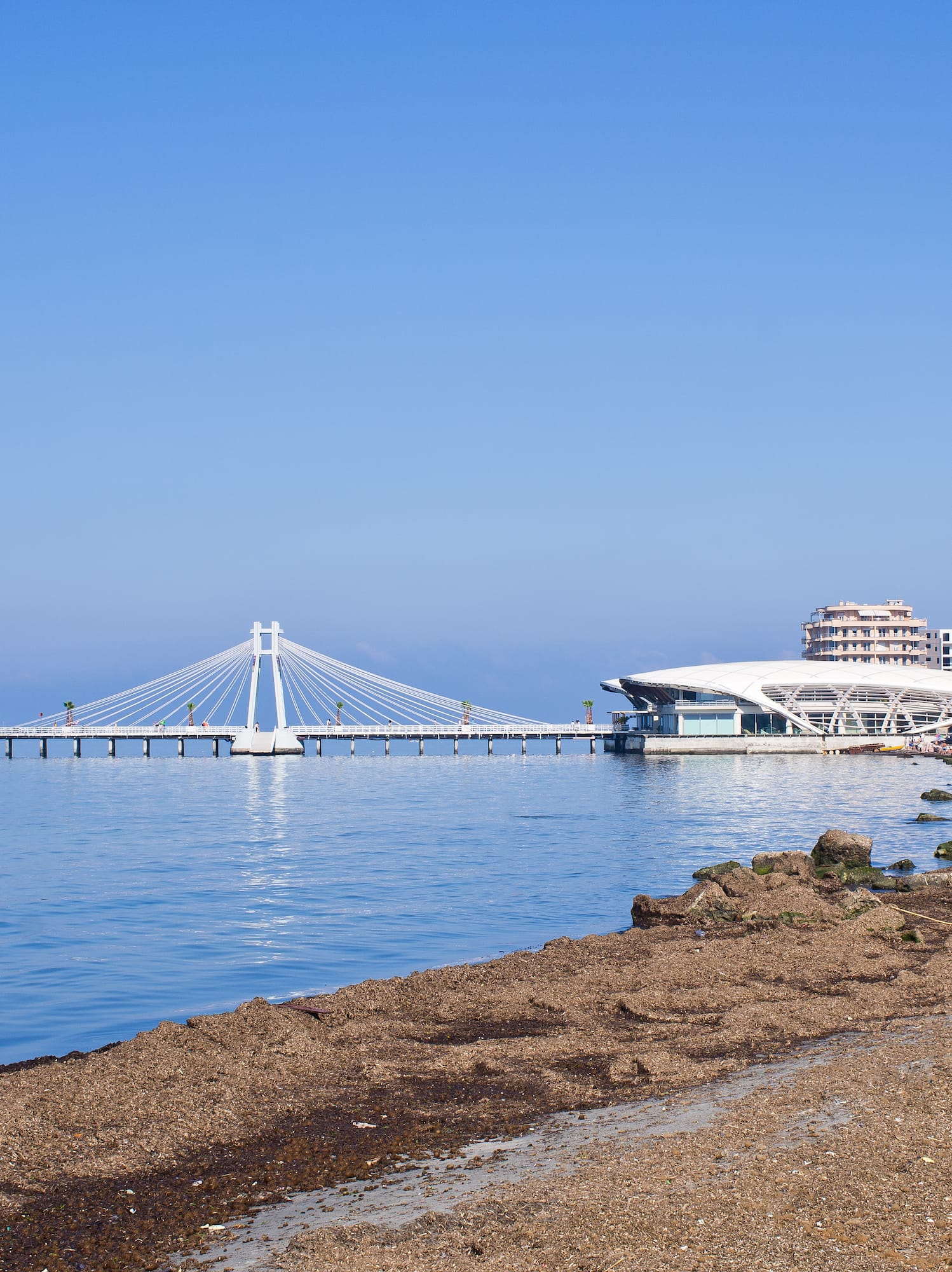 a beach with a bridge and buildings in the background