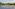 a group of ducks floating on water
