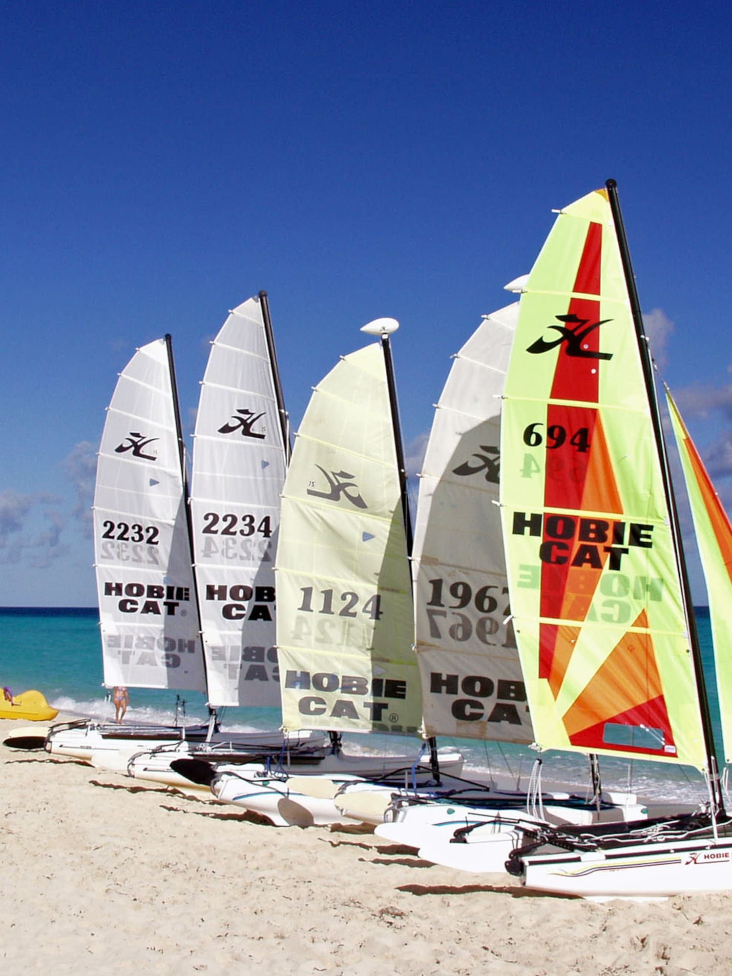 a group of sailboats on a beach