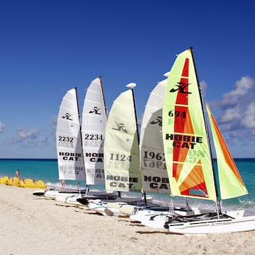 a group of sailboats on a beach
