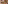 Gourmet dinner table with steak, whole fish, lobster, and diverse dishes.