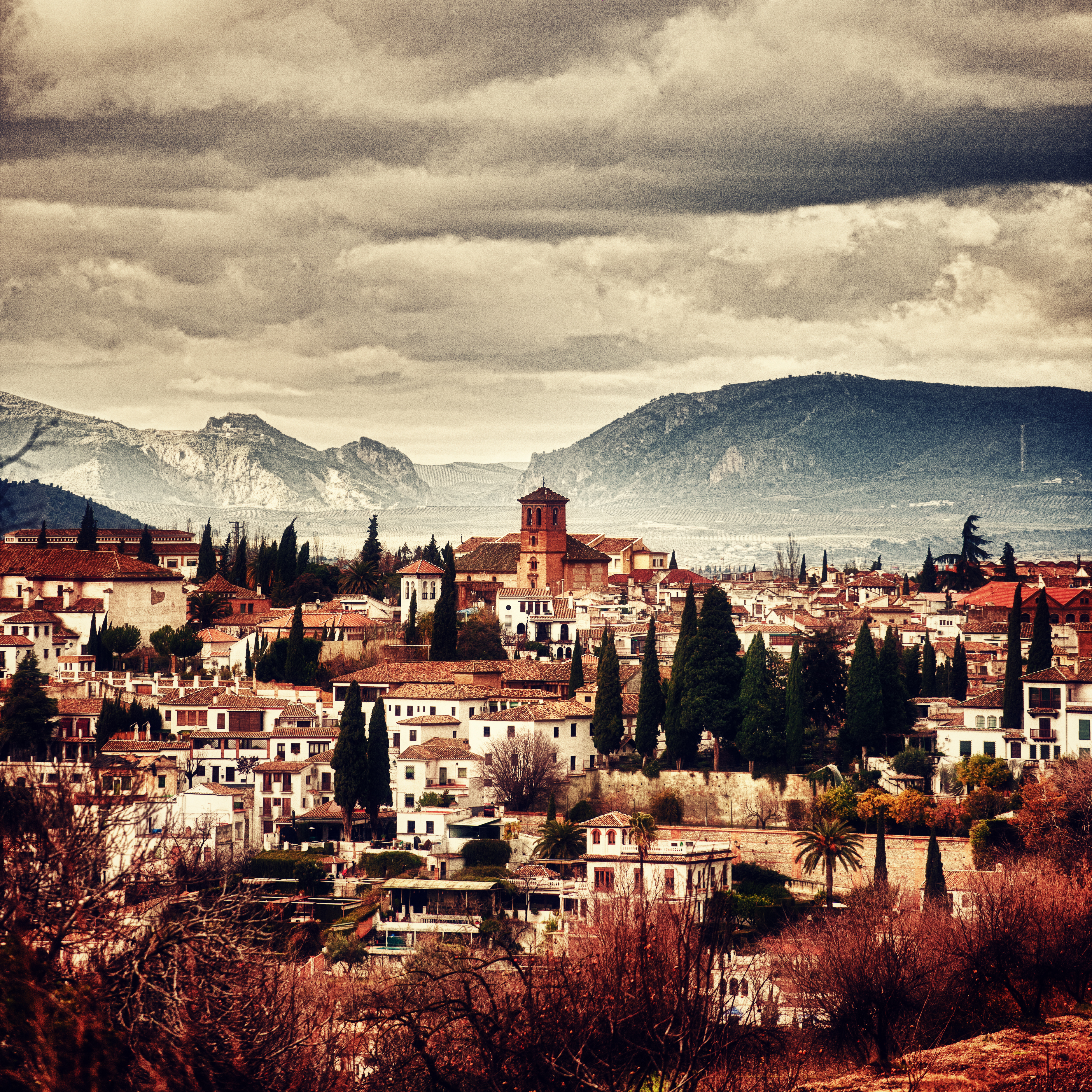 a city with trees and mountains in the background