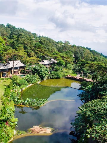 a house surrounded by trees