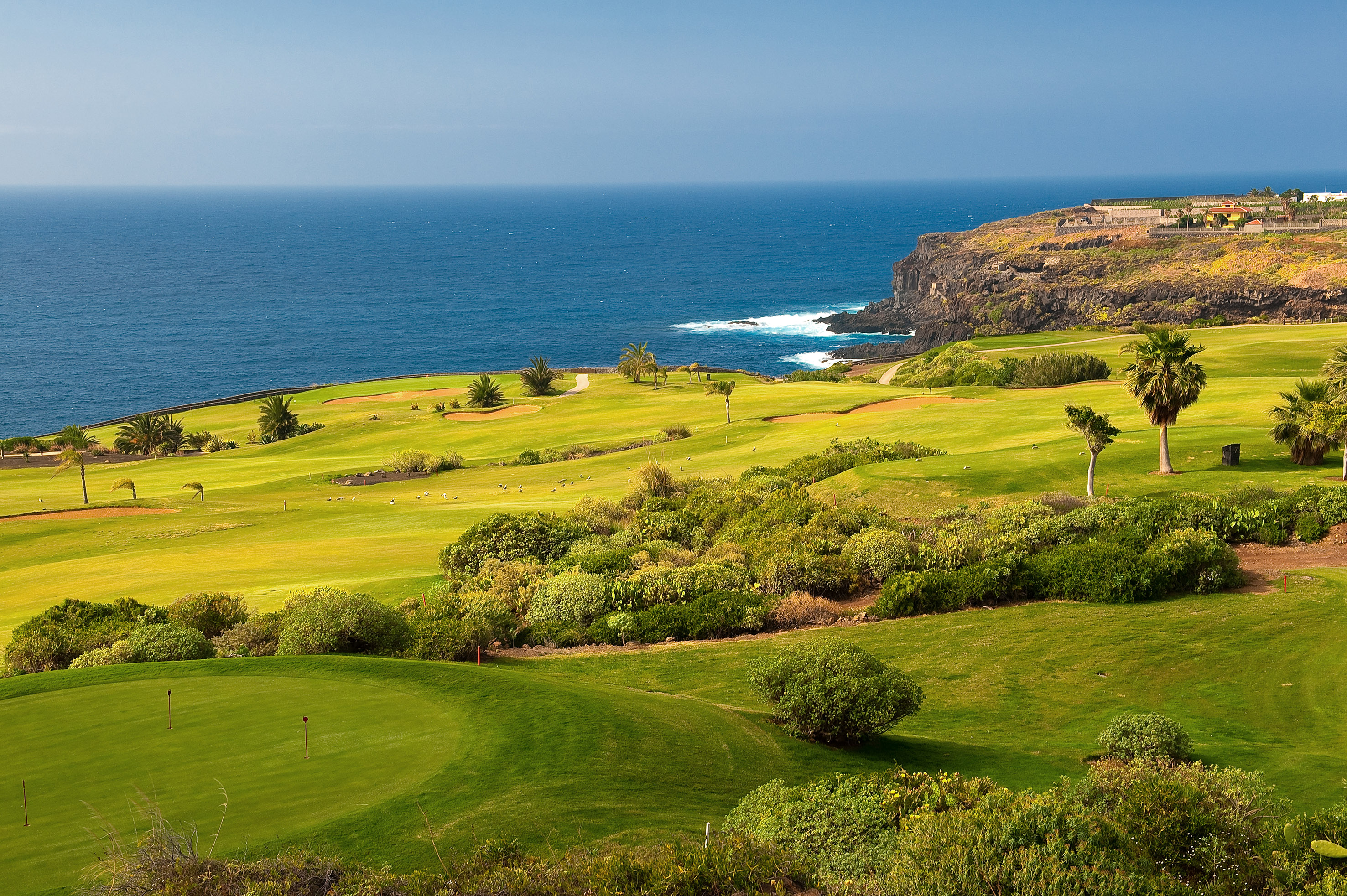 Lush green golf course by the ocean, with palm trees and coastal cliffs.