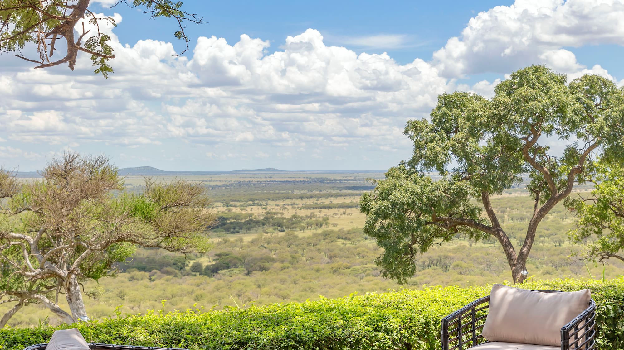 a patio with chairs and a table