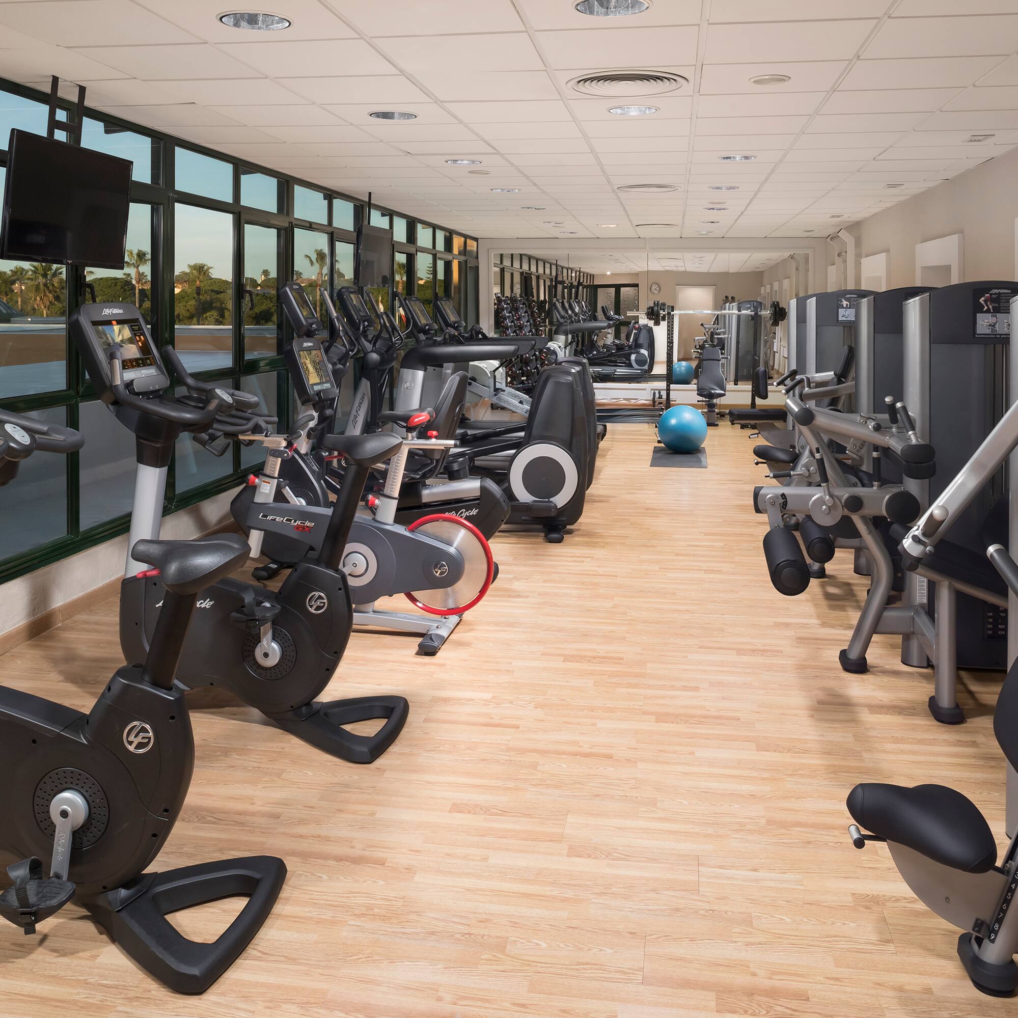 a room with exercise bikes and exercise balls