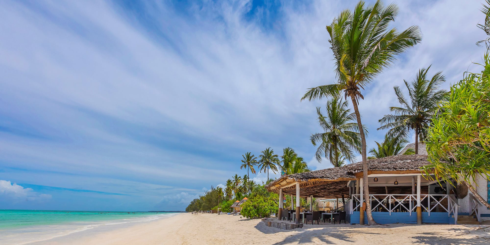 a beach with palm trees and a hut