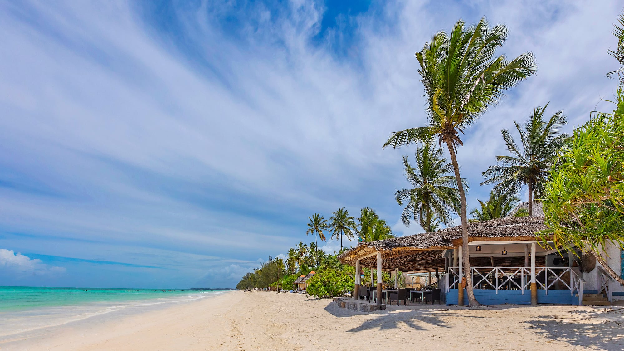 a beach with palm trees and a hut