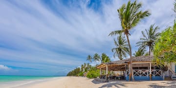 a beach with palm trees and a hut