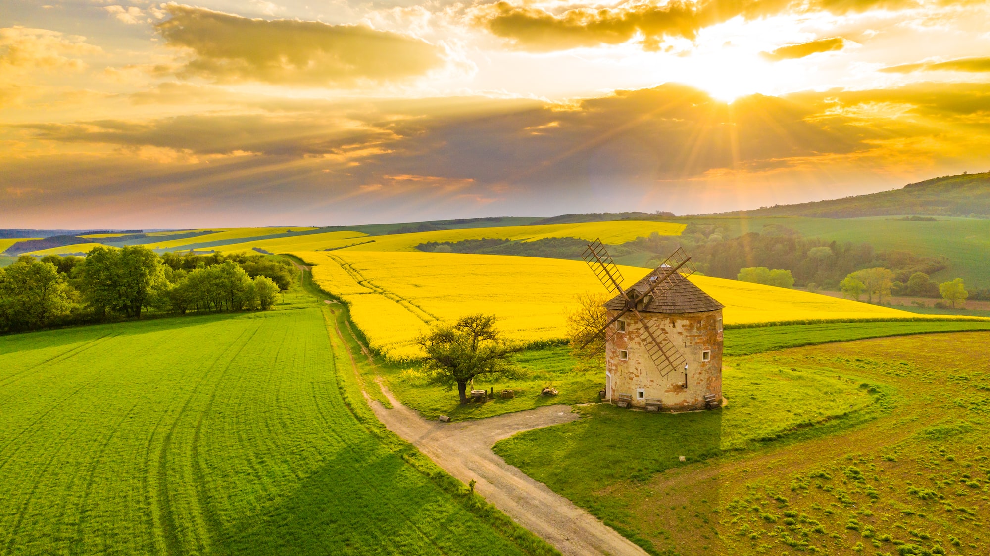 a windmill in a field