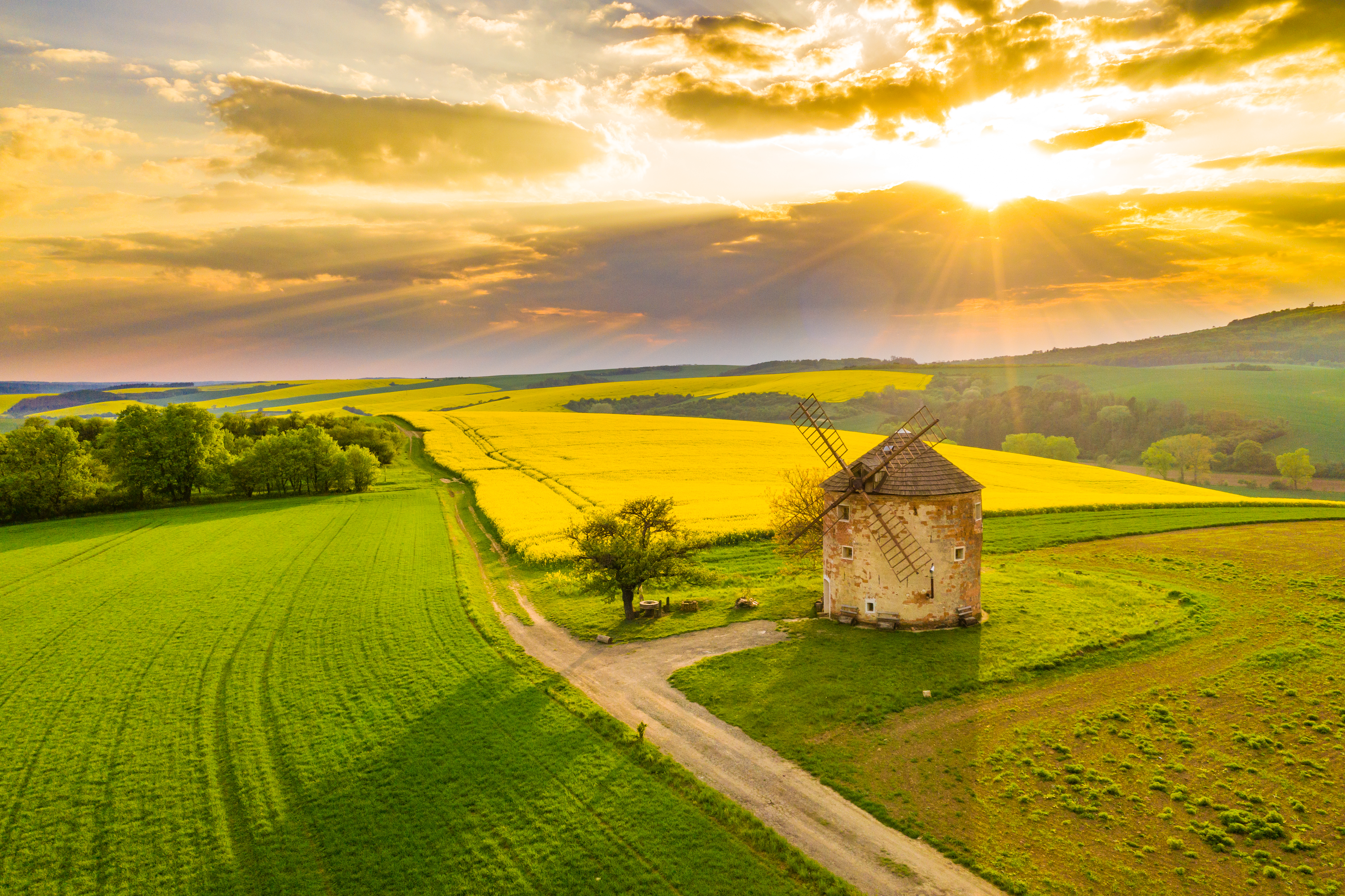 a windmill in a field