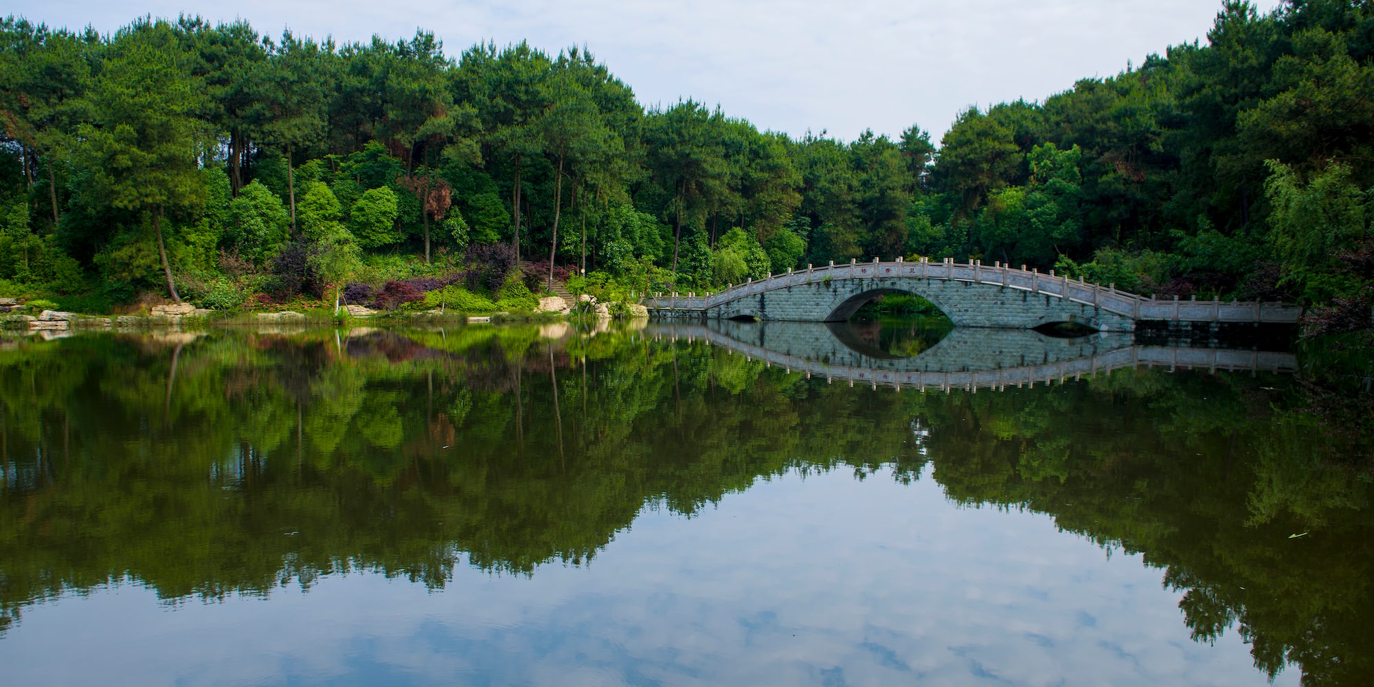 a bridge over a body of water with trees in the background