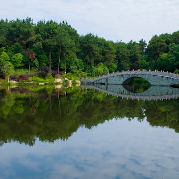 a bridge over a body of water with trees in the background