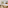 Resort bedroom with two beds, wooden headboard, window, tropical palm view.