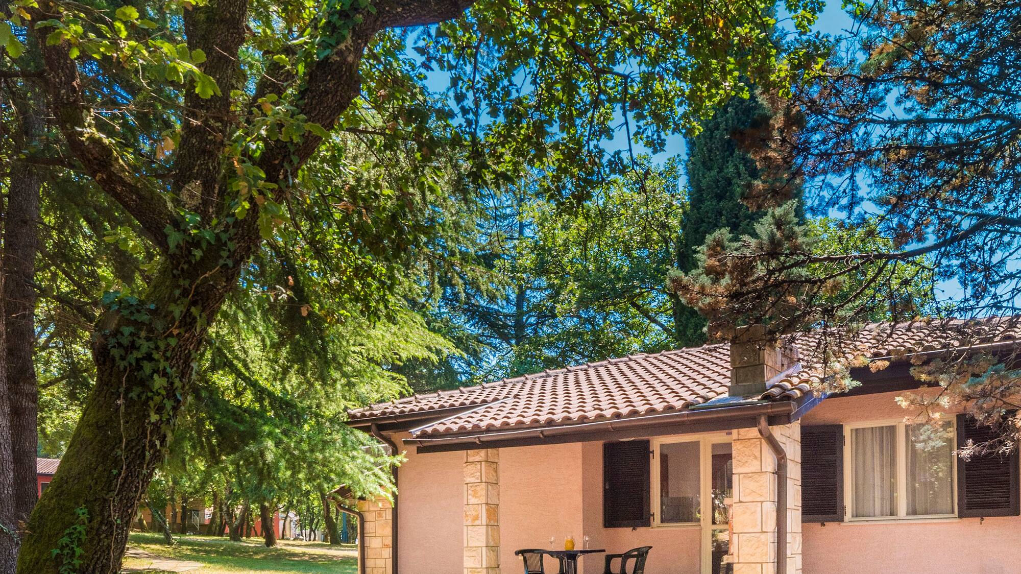 a house with a porch and a tree