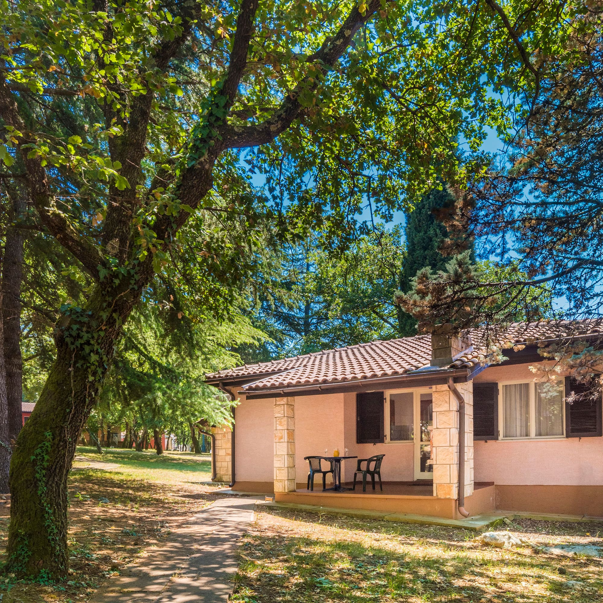 a house with a porch and a tree