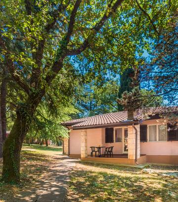 a house with a porch and a tree