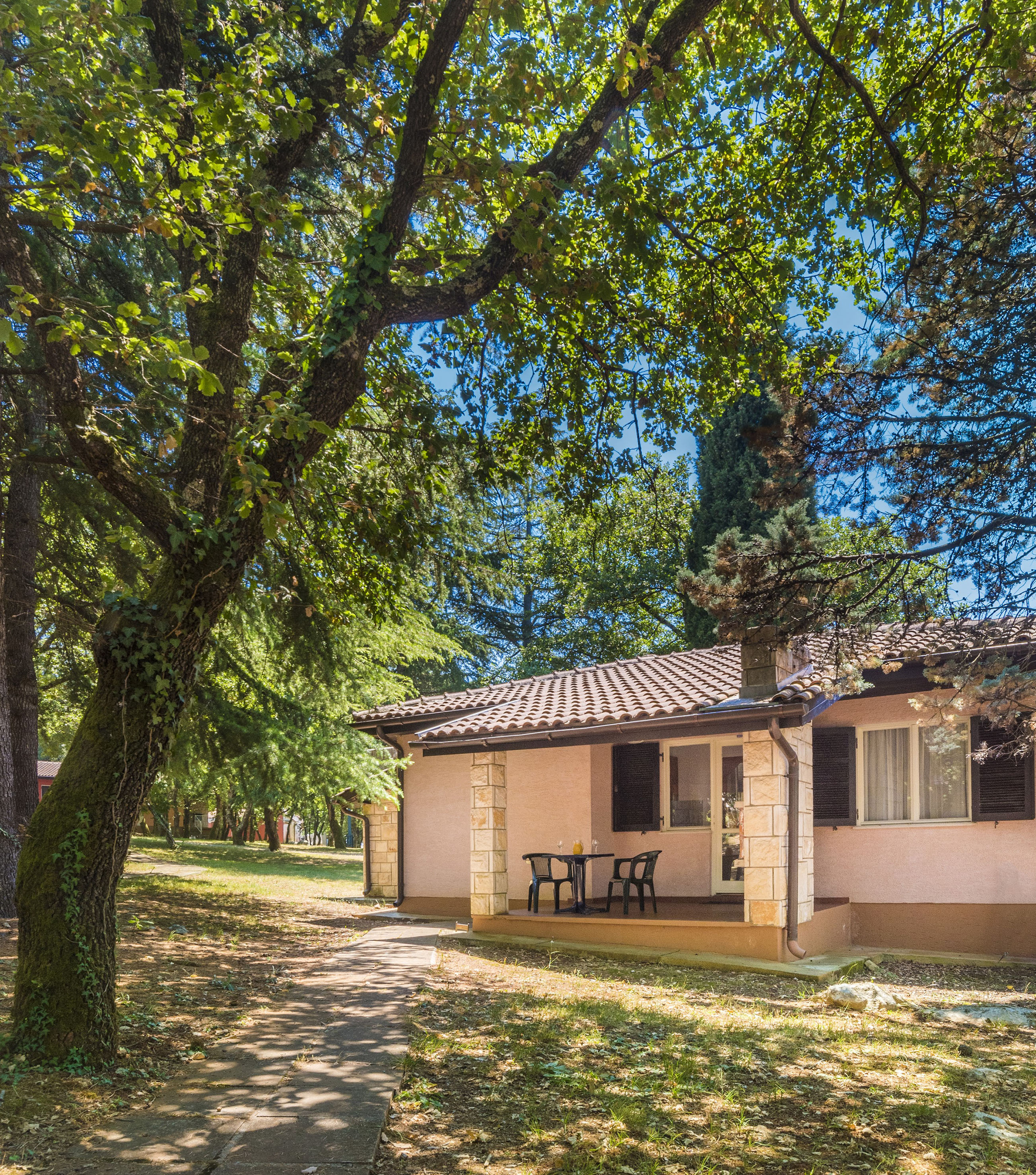 a house with a porch and a tree