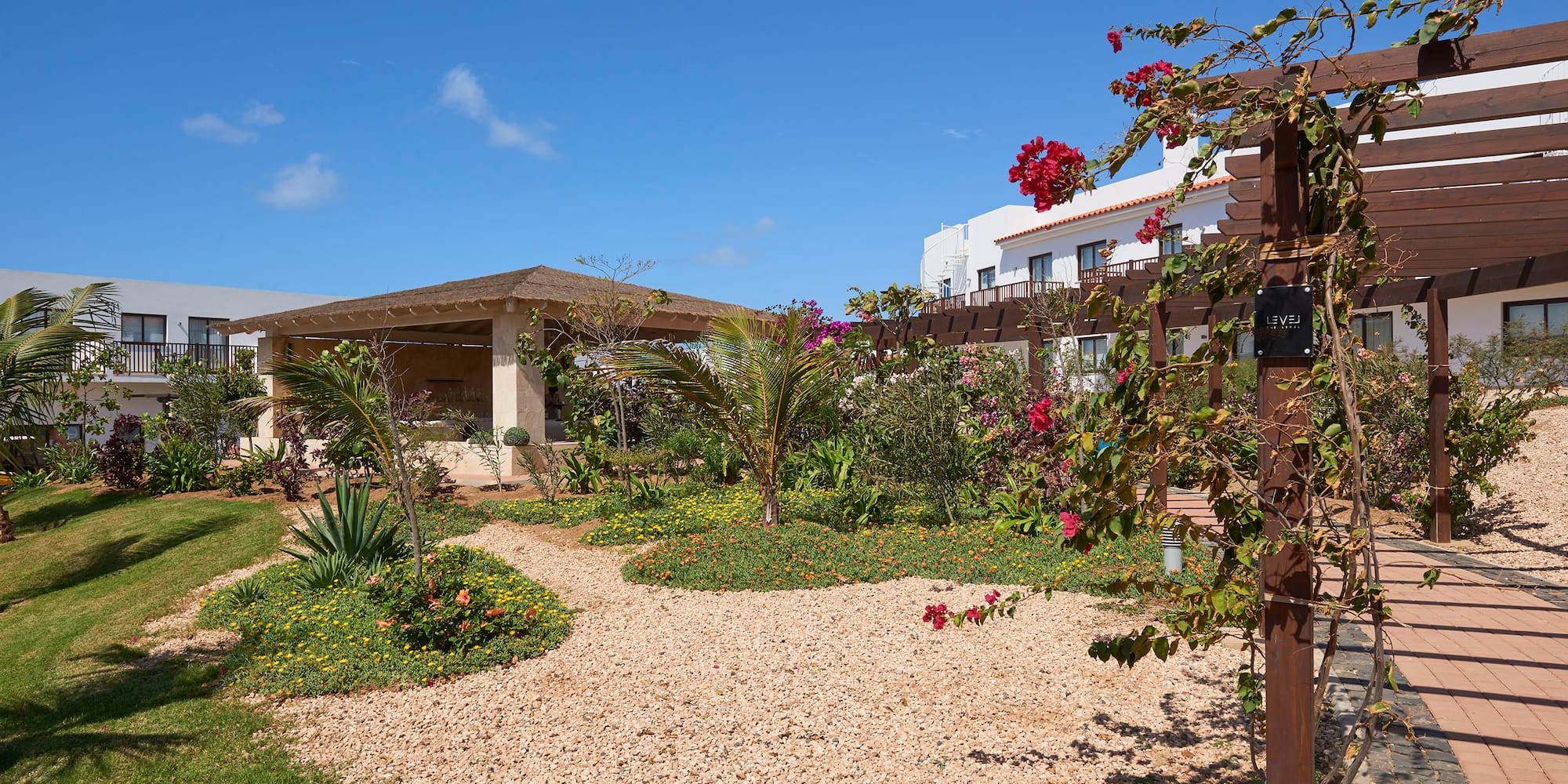 a garden with plants and a building