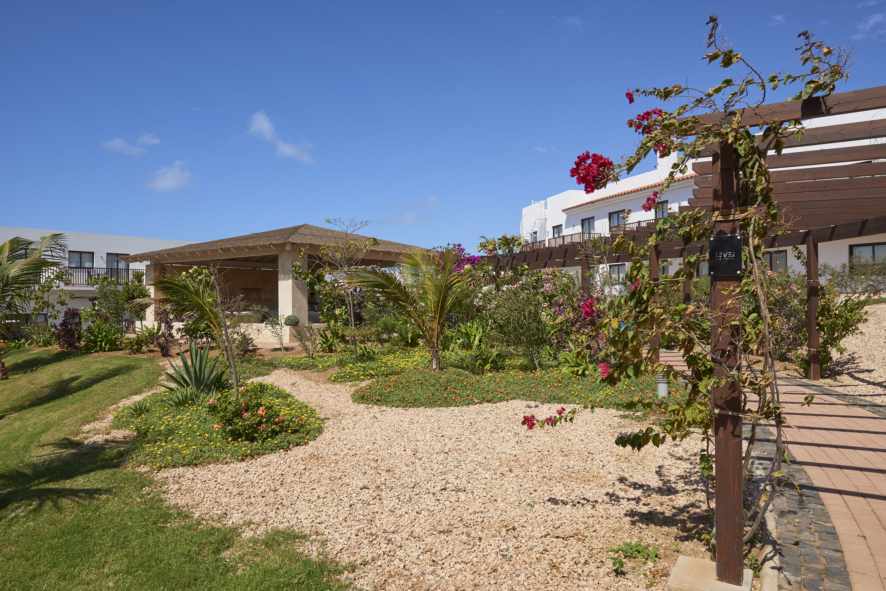 a garden with plants and a building