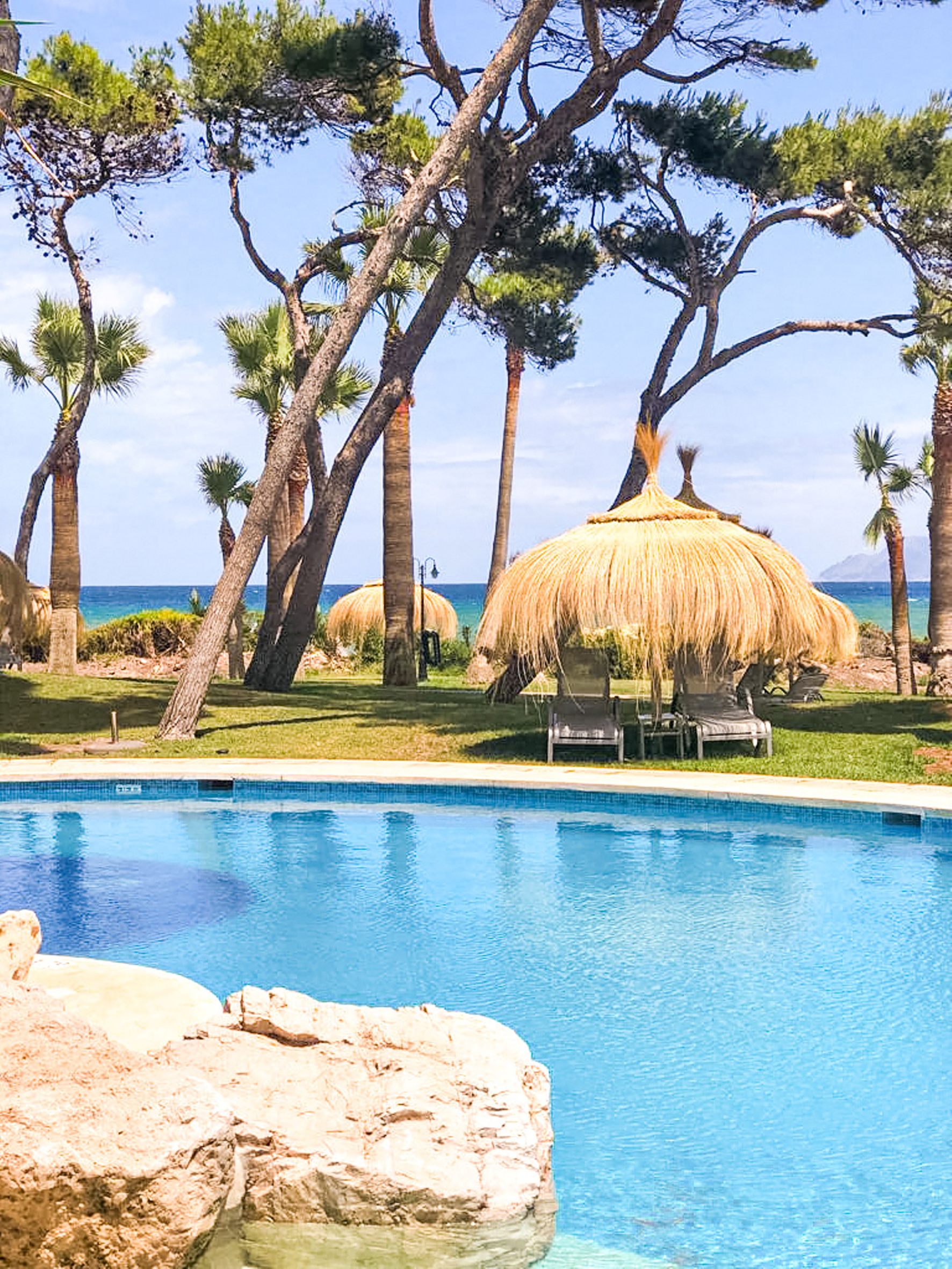 a pool with grass huts and trees