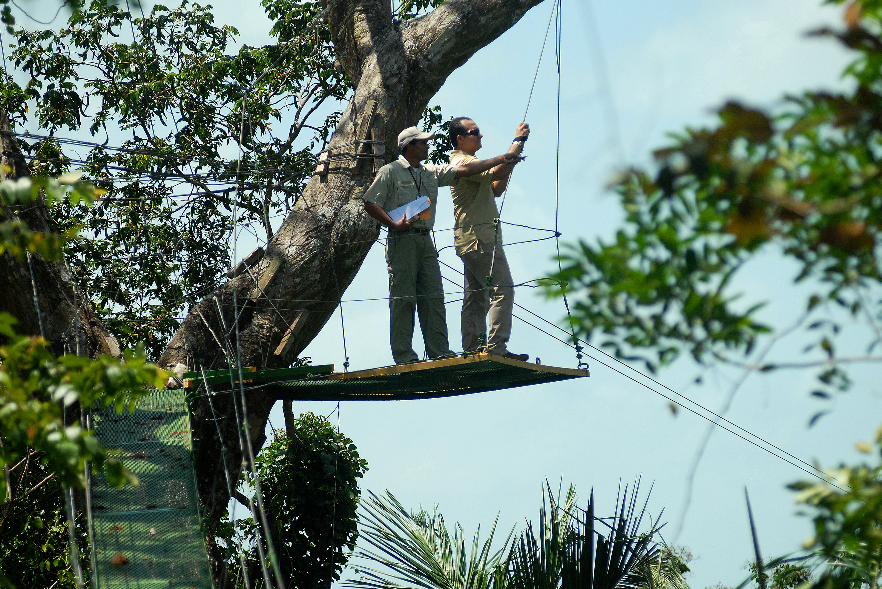 a couple of people standing on a rope bridge