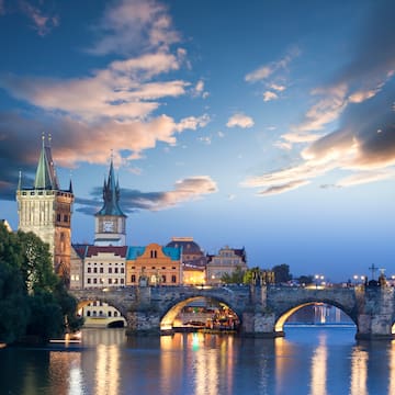 a bridge over water with buildings and trees