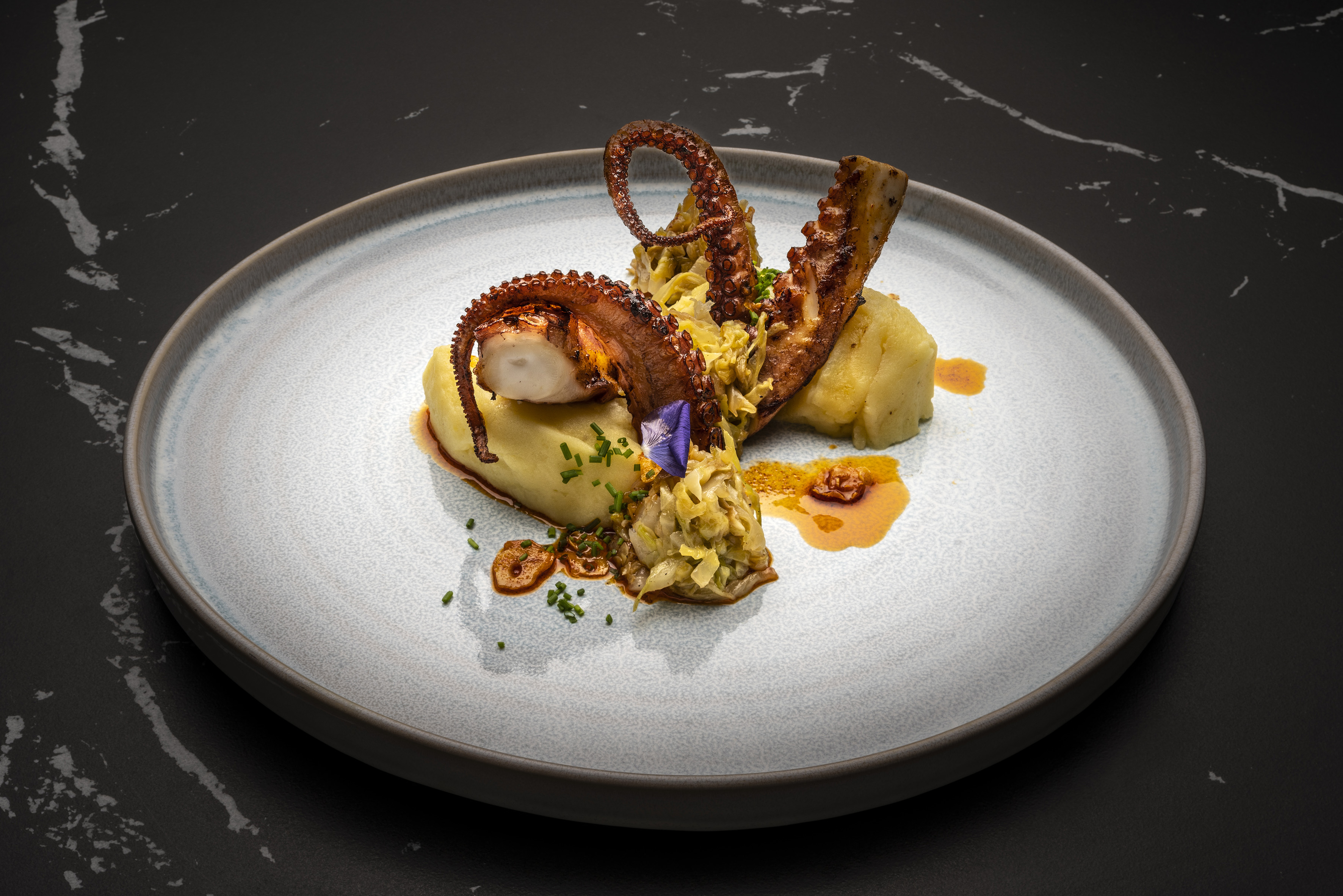 Grilled octopus with mashed potatoes, braised cabbage, fine dining dish.