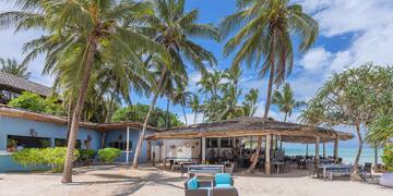 a beach with palm trees and a building