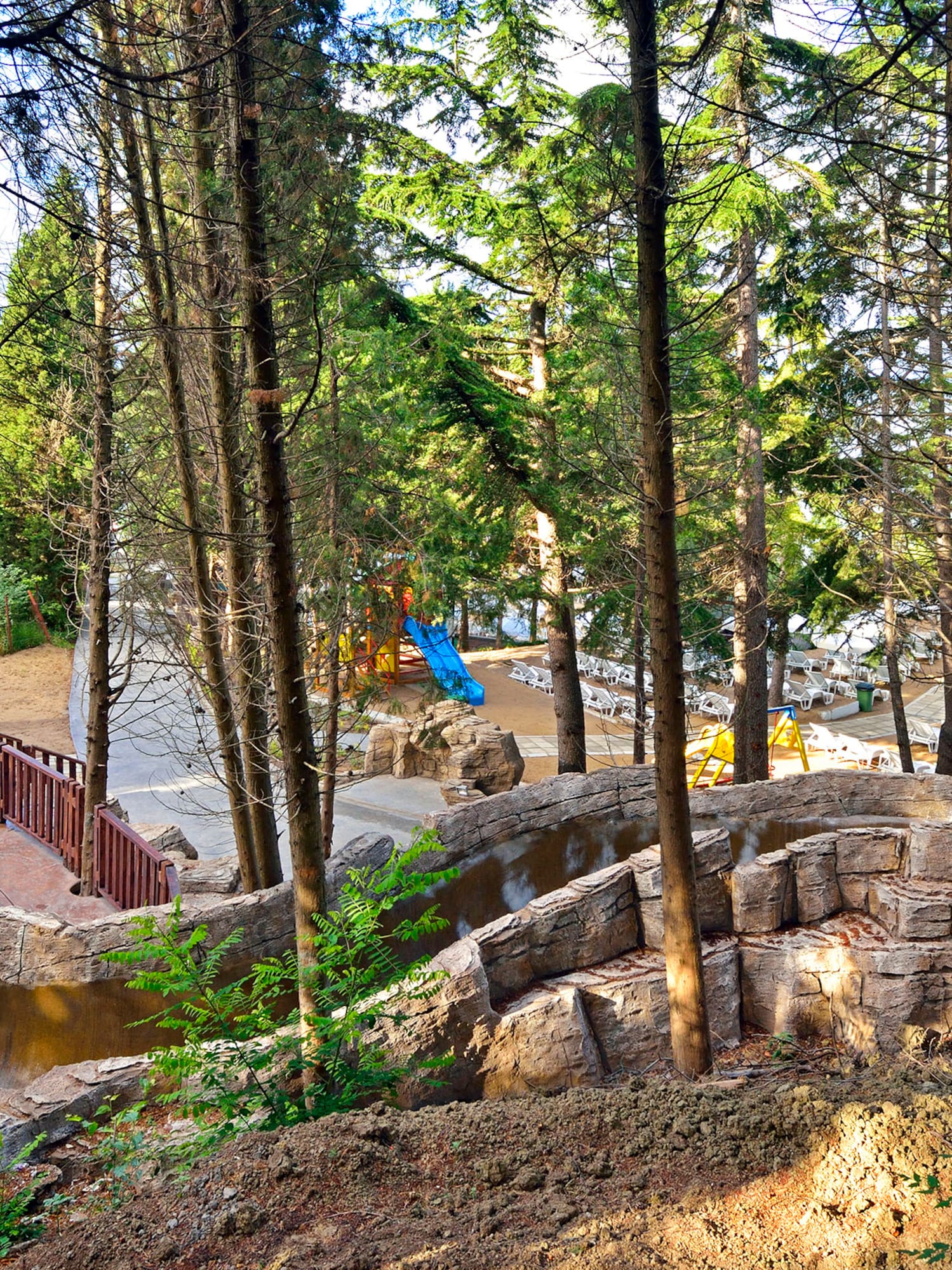 a pool with a slide and trees