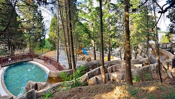a pool with a slide and trees