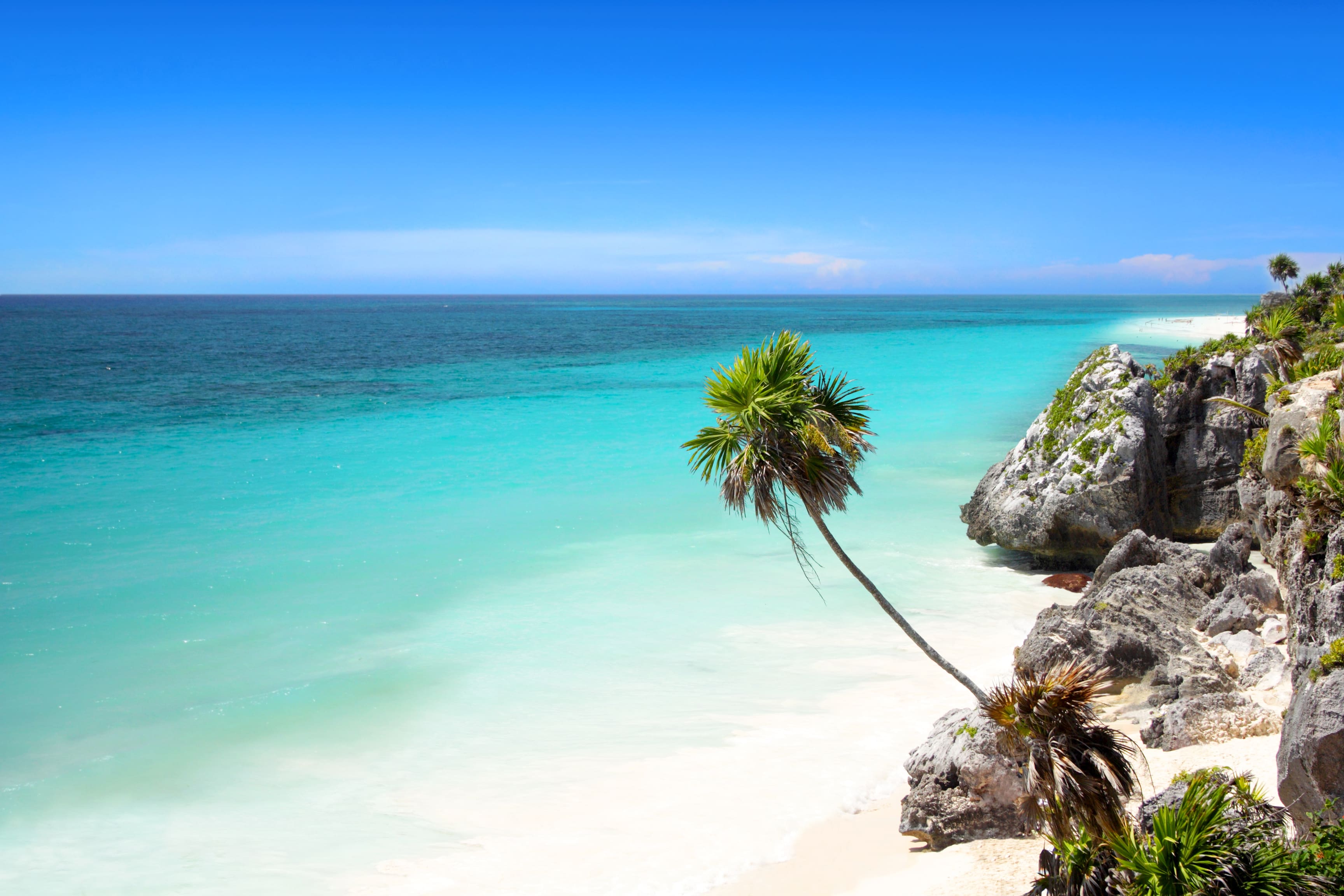 Picture Gallery, Virtual Tours and Videos in Meliá Cozumel - All
