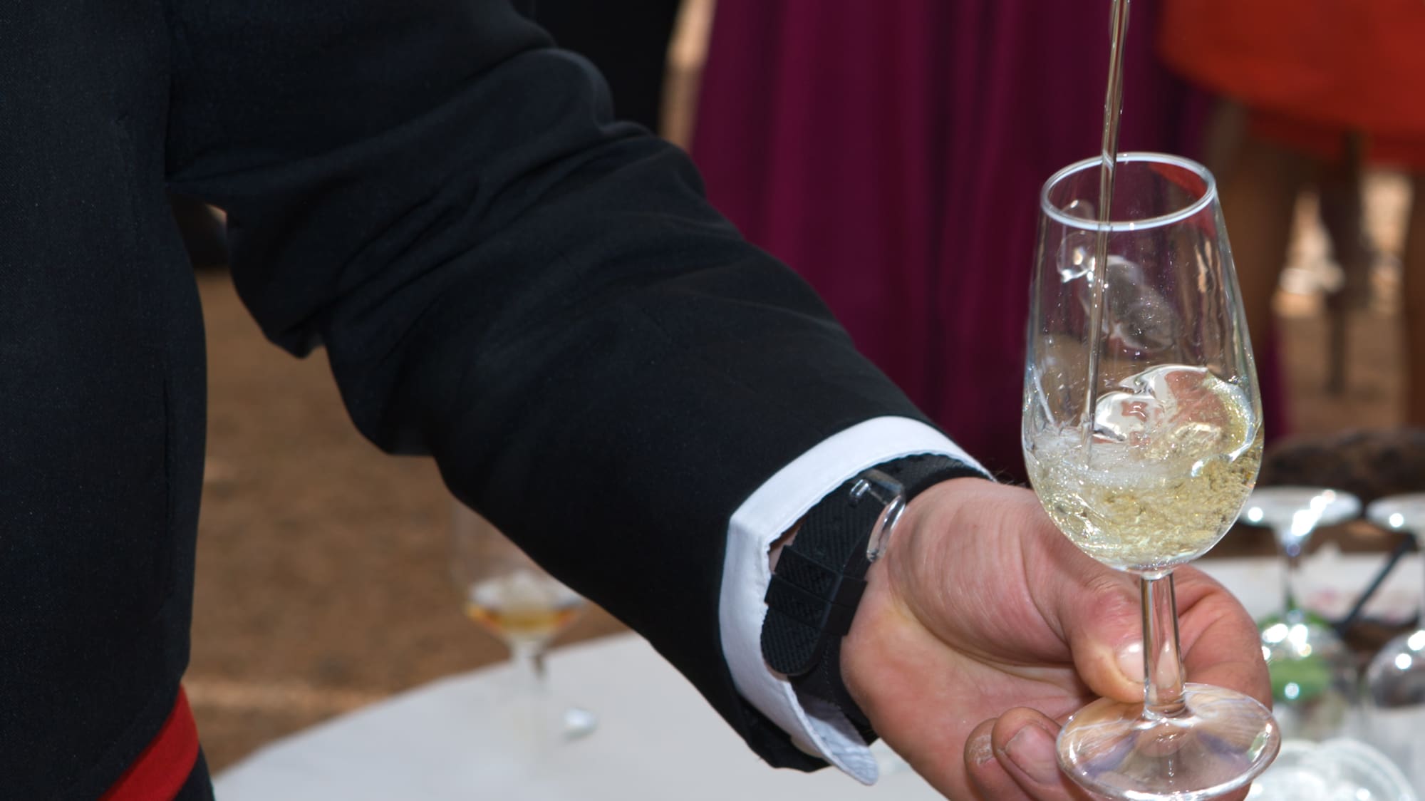 a person holding a glass of wine