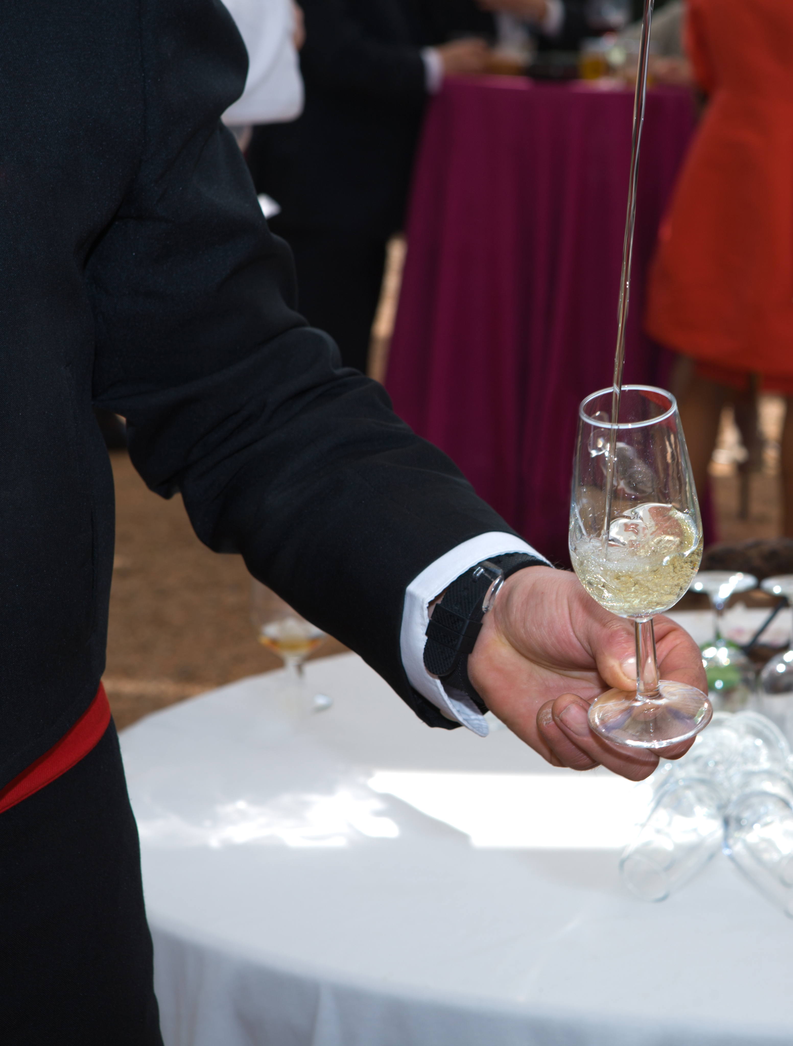 a person holding a glass of wine